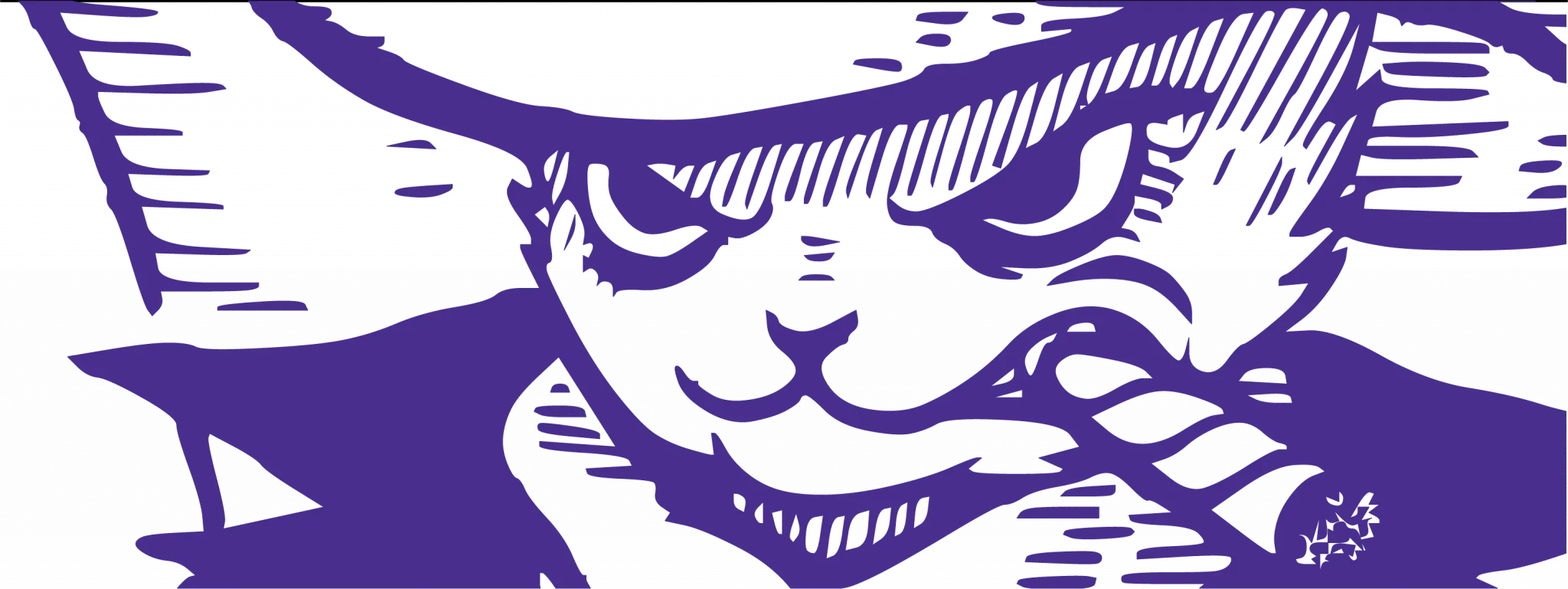 BLAST brand banner artwork